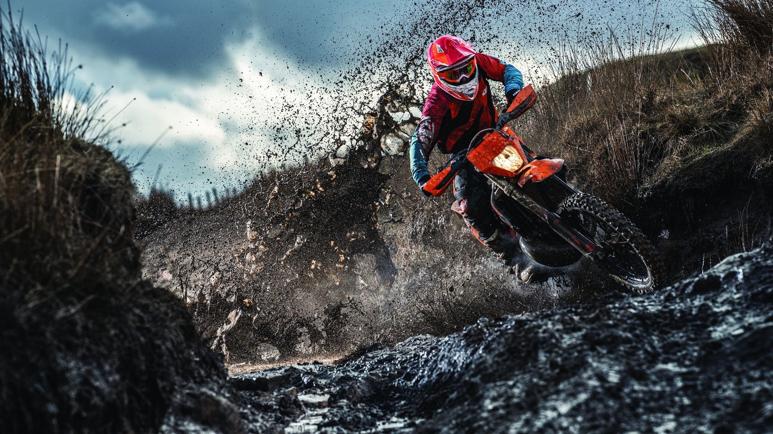 开云平台-奥运会黑马送法国回家，奥运会 黑马